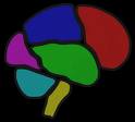 Neuropsychologists cary nc